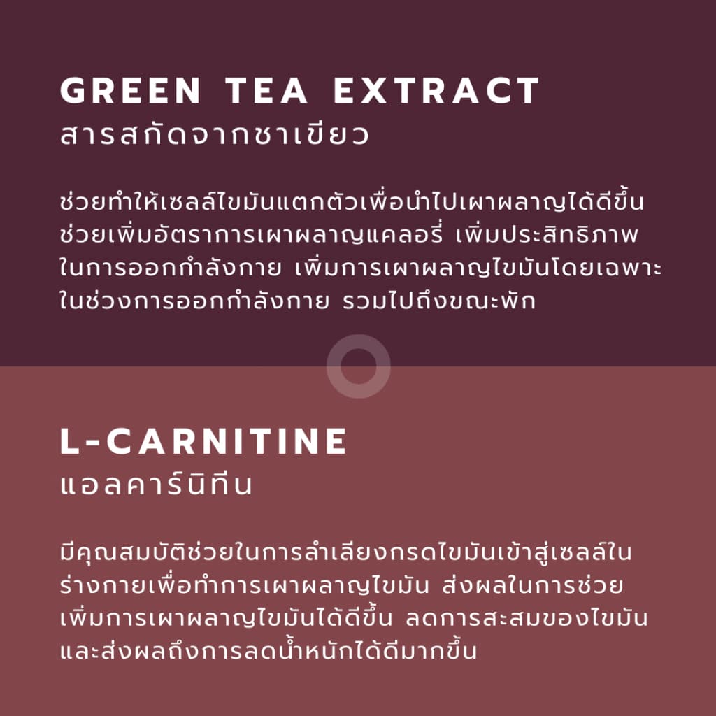 เผาผลาญไขมัน สำหรับผู้หญิง - IGNITE Women Fat Burner - Rocketeer - ตัวช่วยเบิร์น รูปที่ 3