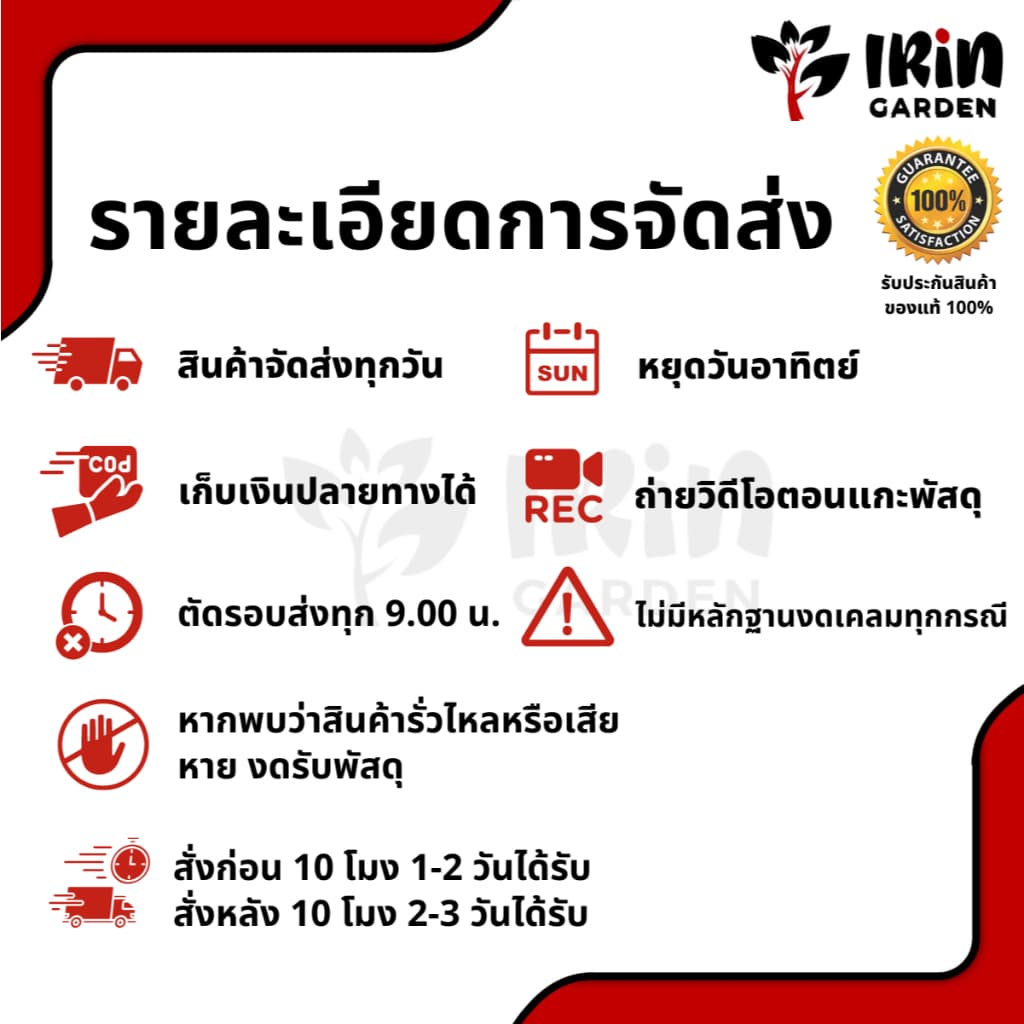 เทอร์ราซิงค์ ขนาด 1 ลิตร ช่วยการขาดธาตุสังกะสี ป้องกัน ใบเหลืองต้นแคระ เพิ่มสารอาหาร แร่ธาตุซิงค์ ซิงค์ สังกะสี ธาตุอาห รูปที่ 2