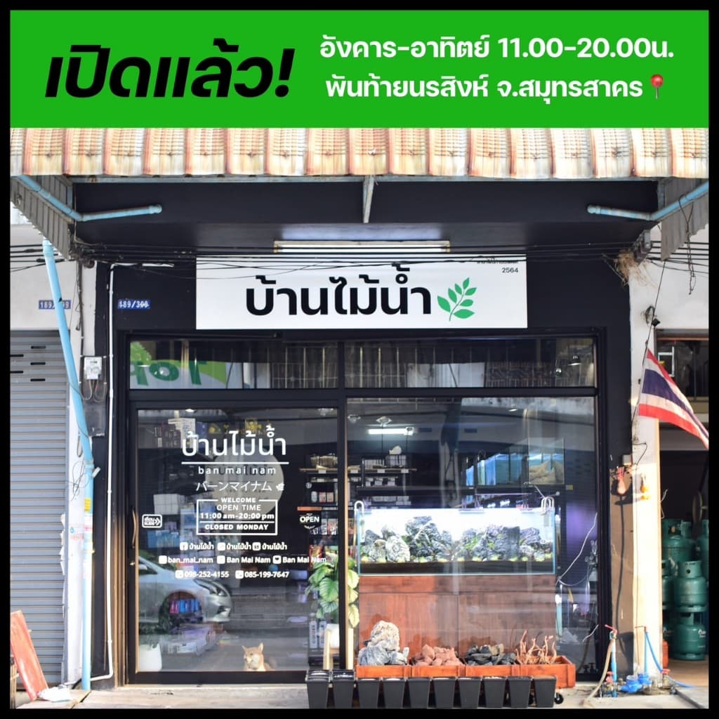 สาย CO2 4/6mm สายคาร์บอนไดออกไซด์ ตู้ไม้น้ำ ถังคาร์บอนไดออกไซด์ ถังCO2 สายPU TPU สายยาง | บ้านไม้น้ำ รูปที่ 7