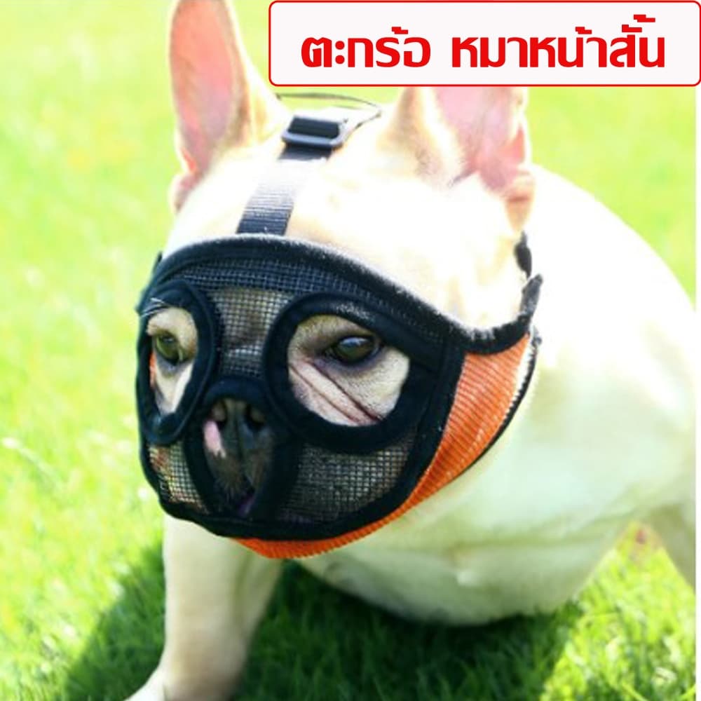 ตะกร้อหมาหน้าสั้น หน้ากากหมาหน้าสั้น ระบายอากาศได้ดี ที่ครอบปากสุนัข ตระกร้อปากหมา ตะกร้อกันเห่า กัด รูปที่ 1