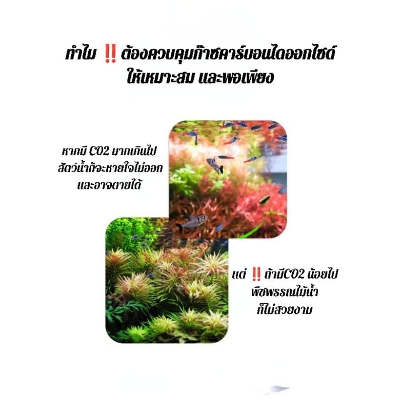 ตรวจทดสอบ CO2 ครบชุด drop checker co2 รูปที่ 4