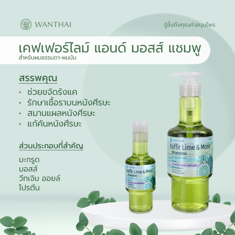 Wanthai เคฟเฟอร์ไลม์ & มอสส์ แชมพู l มะกรูด ลดอาการคัน ขจัดรังแค รักษาเชื้อราบนหนังศีรษะ รูปที่ 2