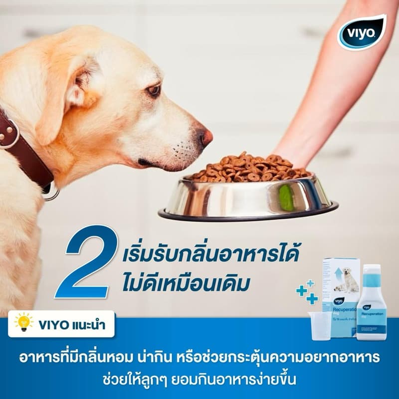 Viyo Recuperation 150 ml. อาหารเสริมสูตรน้ำ ความน่าทานสูง ไม่อยากอาหาร หรืออยากอาหารลดลง รูปที่ 7