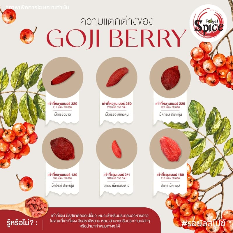 เก๋ากี้ โกจิเบอร์รี่ เก๋ากี้แดง เก๋ากี้ดำ Gojiberry 枸杞 รูปที่ 8