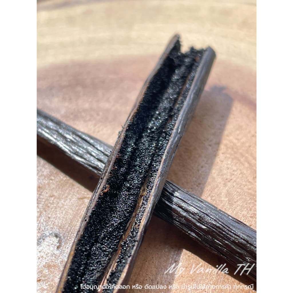 ฝักวานิลลาสายพันธุ์ Planifolia **เกรดA 18-22cm** My Vanilla TH รูปที่ 3