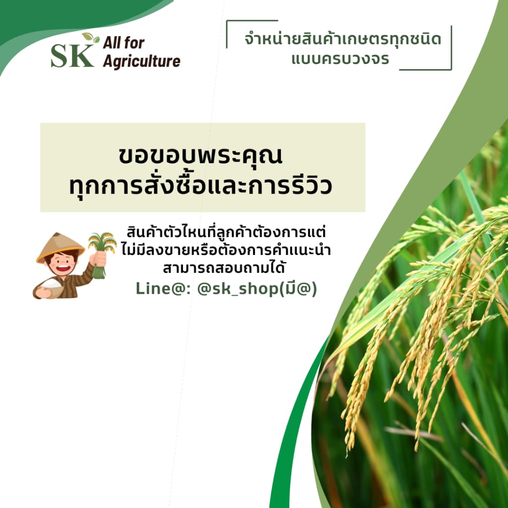 คาลารีส ขนาดบรรจุ 1 ลิตร รูปที่ 3