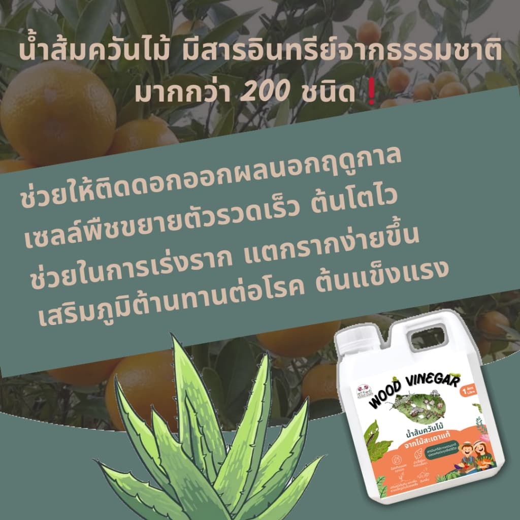 น้ำส้มควันไม้ 5 ลิตร สูตรเข้มข้น100% ไล่เห็บหมัด ไร ยุง แมลง ลดอาการคัน ดับกลิ่น รูปที่ 7