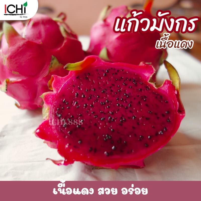 แก้วมังกรเนื้อแดง นำเข้าจากเวียดนาม รูปที่ 1