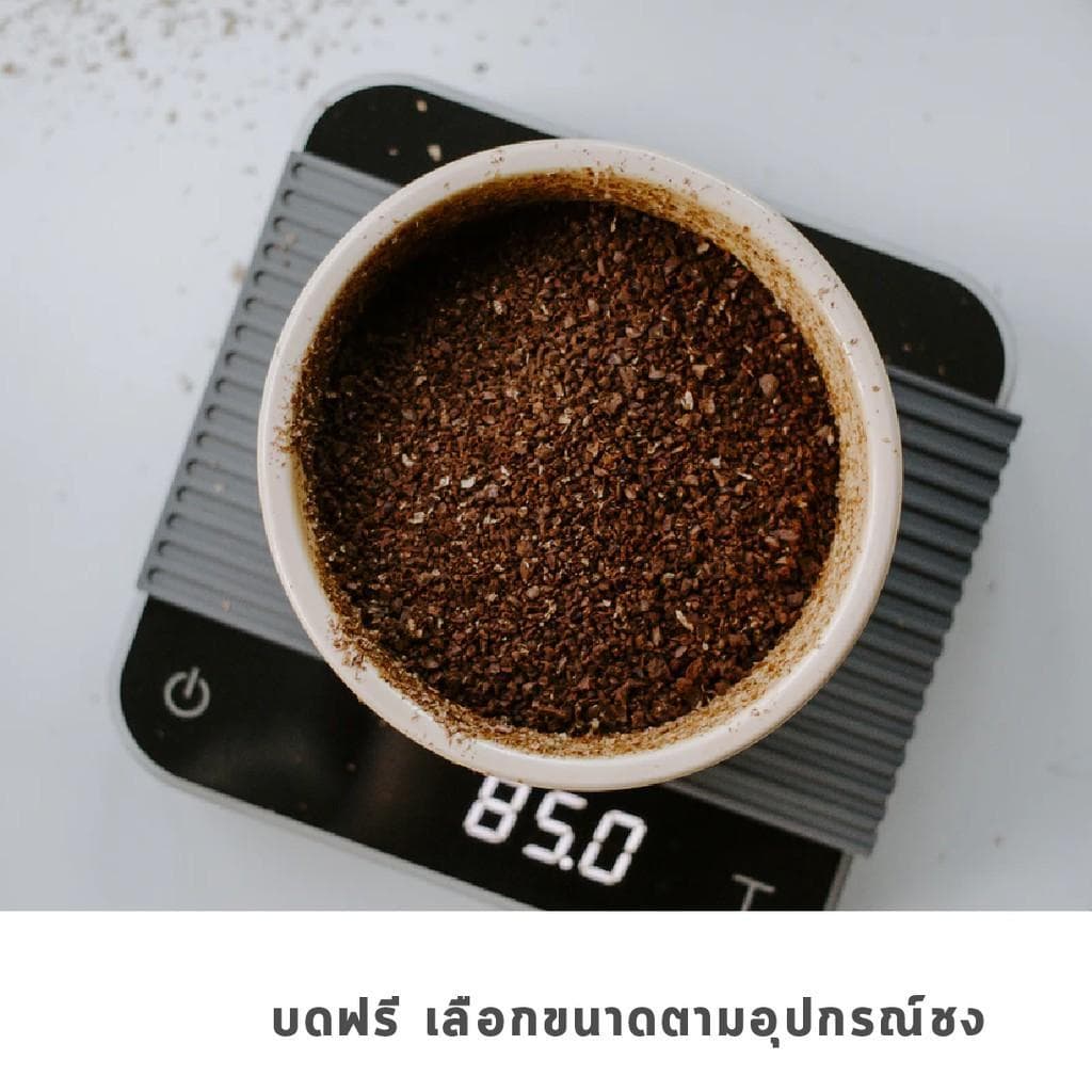 GRAPH | เมล็ดกาแฟ HOUSE BLEND - FINDERMAN รูปที่ 6
