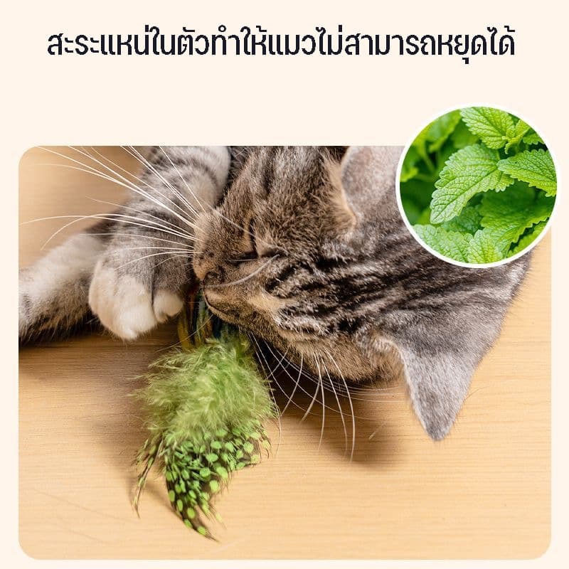 CODนกมีเสียง Interactive Cat Toys ของเล่นแมว ตุ๊กตารูปสัตว์พร้อมเสียงร้อง ตุ๊กตาแมว รูปที่ 5