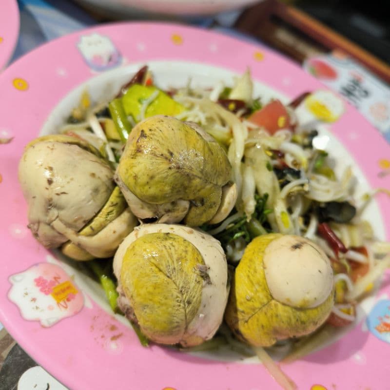 ไข่ลูกระยะ 2 เจ้าดังในติ๊กต๊อกไข่ลูกไก่ทีคนชอบกินเยอะที่สุดไข่อร่อยที่สุดไข่ตัวไข่ลูกเป็ดไข่ลูกไข่ลูกไก่สุกไข่ลูกเป็ดสุก รูปที่ 6