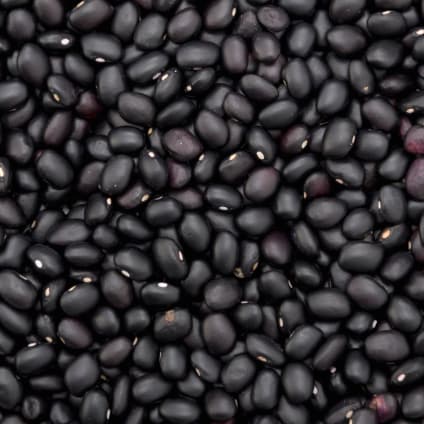 ถั่วดำ Black Bean NON-GMO 500-1000g จาก SummerGrains รูปที่ 2