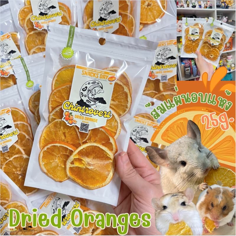 Chintrovert | Dried Oranges ส้มอบแห้ง เกรดคนทานได้ | กระต่าย ชินชิล่า แฮมเตอร์ แกสบี้ สัตว์ฟันแทะ รูปที่ 4