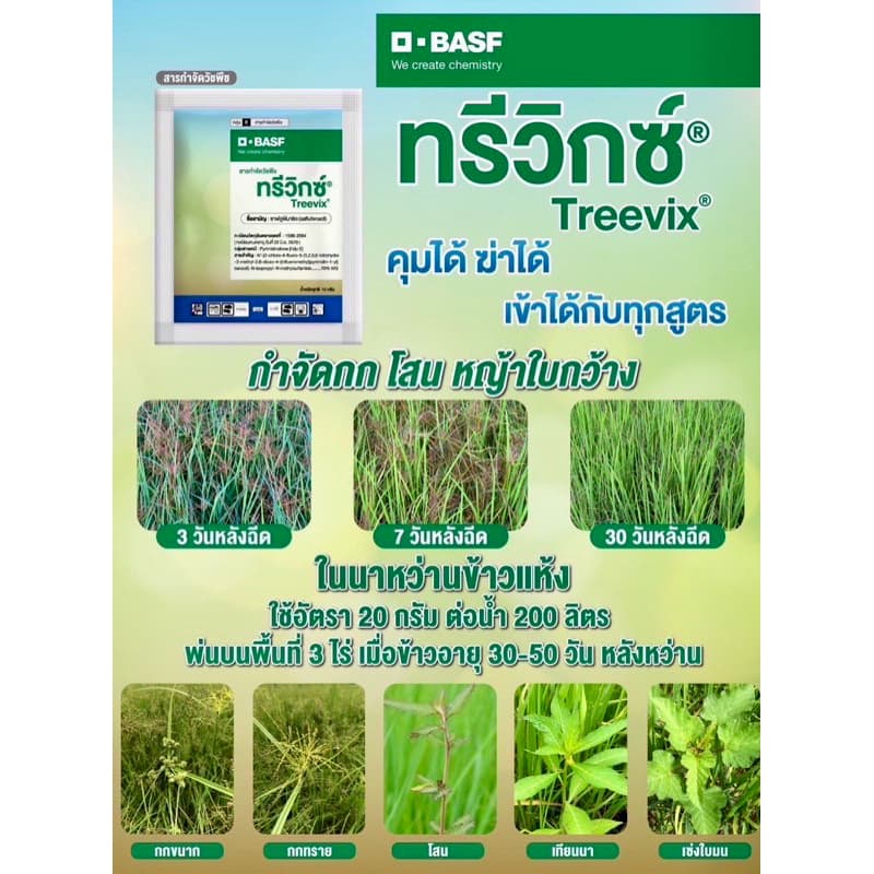 ทรีวิกซ์ ยกกล่อง สารคุมฆ่าวัชพืชคุณภาพสูง byBasf กำจัดวัชพืชใบกว้างยกกล่อง รูปที่ 1