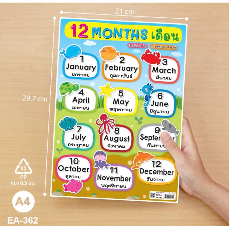 โปสเตอร์ความรู้ สื่อการเรียนการสอน ชุด 12 Months ขนาด A4 สีคมชัด EA-362 บรรจุ:1แผ่น รูปที่ 1