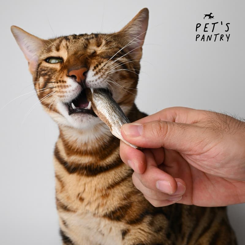 PET’s PANTRY Freeze-Dried Wild Sardine ปลาซาร์ดีนฟรีซดราย ขนมหมา ขนมแมว รูปที่ 4