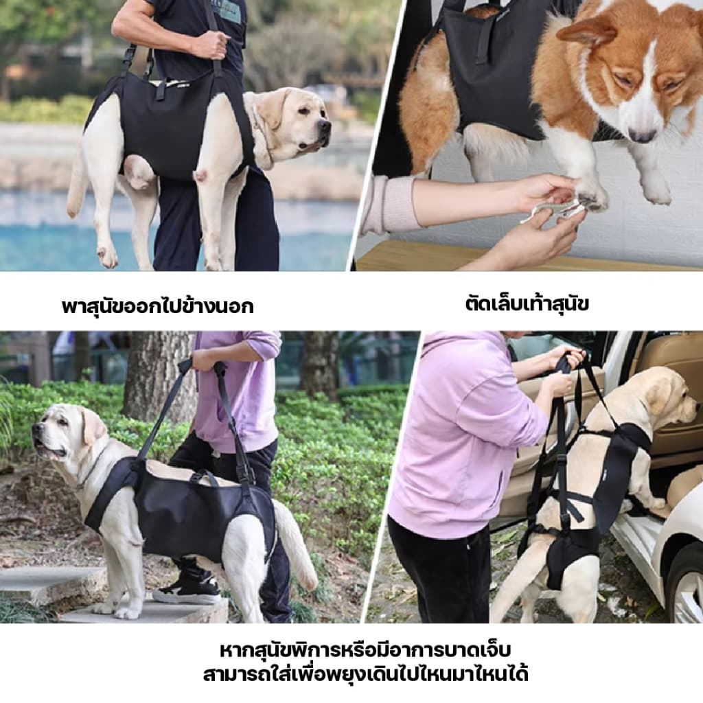 สายรัดพยุงเดินสุนัข เสื้อกั๊กช่วยเดินสุนัขสูงอายุ สำหรับสุนัขบาดเจ็บข้อสะโพกขาหลัง รูปที่ 6