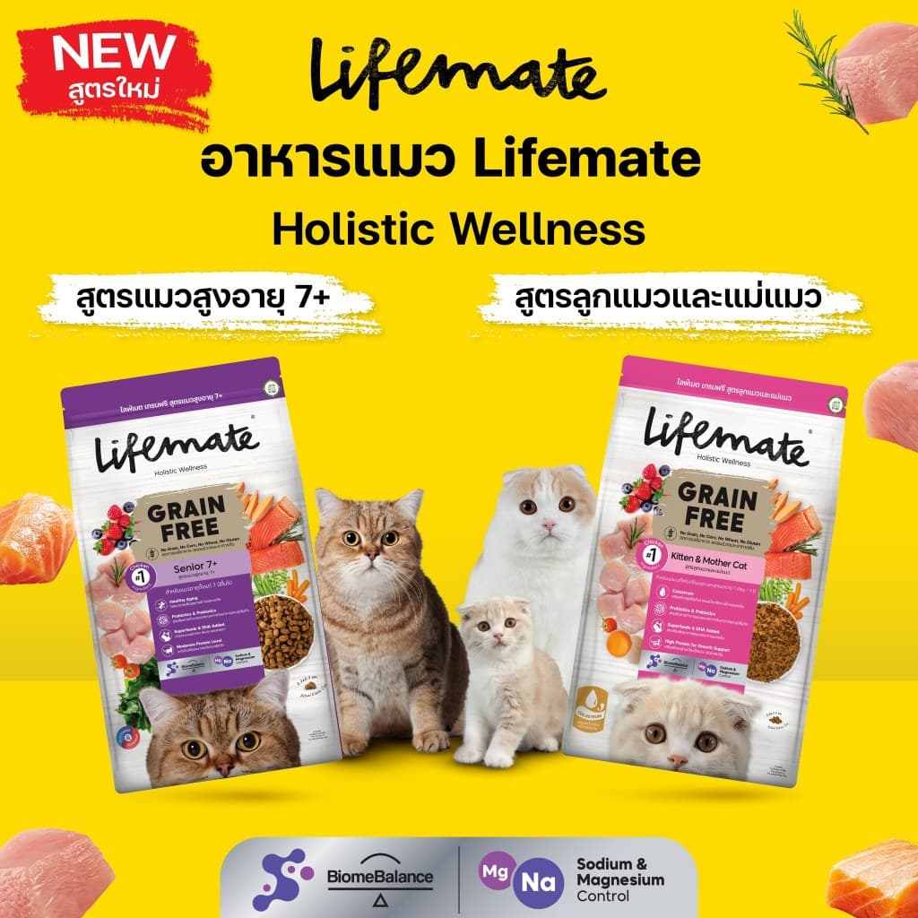 Lifemate อาหารแมว เกรดโฮลิสติก ควบคุมโซเดียม ถนอมไต ครบทุกสูตร พรีเมียม สำหรับแมว1ปีขึ้นไป รูปที่ 9