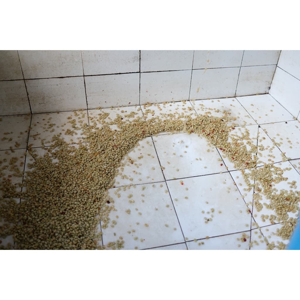 PK เมล็ดกาแฟคั่วเข้ม Blend Dark Roast อาราบิก้าผสมโรบัสต้าขนาด 1Kg รสชาติเข้มเต็มแน่น คั่วใหม่ทุกวัน รูปที่ 7