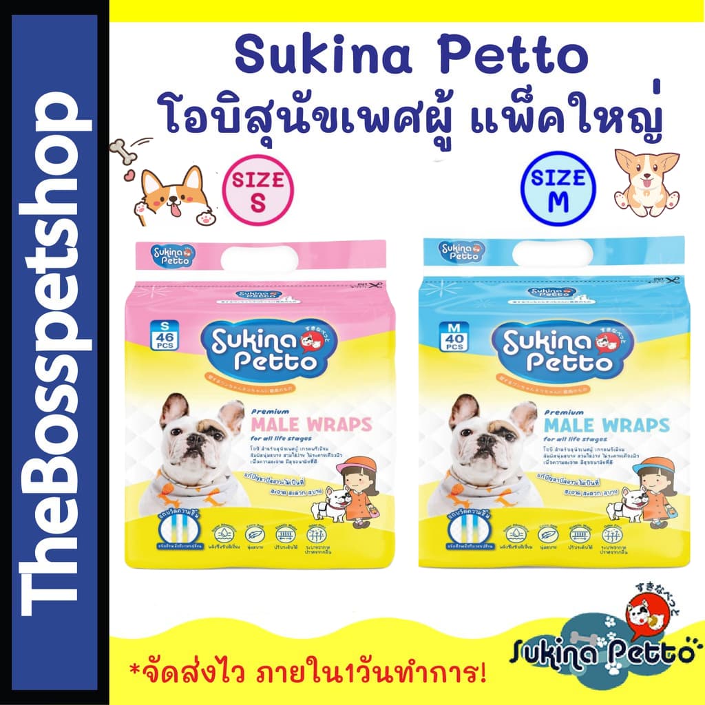 Sukina Petto Male Wrap โอบิสำหรับสุนัขเพศผู้ แพ็คใหญ่ Sukina รูปที่ 3