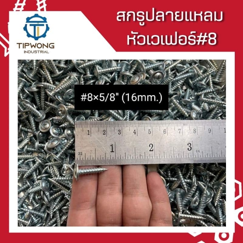 สกรูปลายแหลม หัวเวเฟอร์ชุบขาว #8 รูปที่ 5