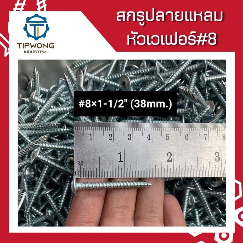 สกรูปลายแหลม หัวเวเฟอร์ชุบขาว #8 รูปที่ 7