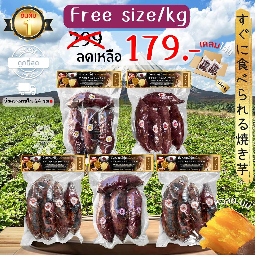 Oishi-Fresh อันดับ 1 มันหวานญี่ปุ่นเบนิฮารุกะ 5 ยี่ห้อเผาพร้อมทาน เนื้อเหลือง หอม หวาน 1 กก.4-6 หัว ก่อนเผา จัดส่ง 24ชม. รูปที่ 1