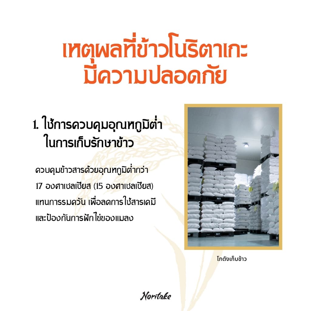 ข้าวญี่ปุ่นโคชิฮิคาริ 5 kg ตรา Noritake รูปที่ 3