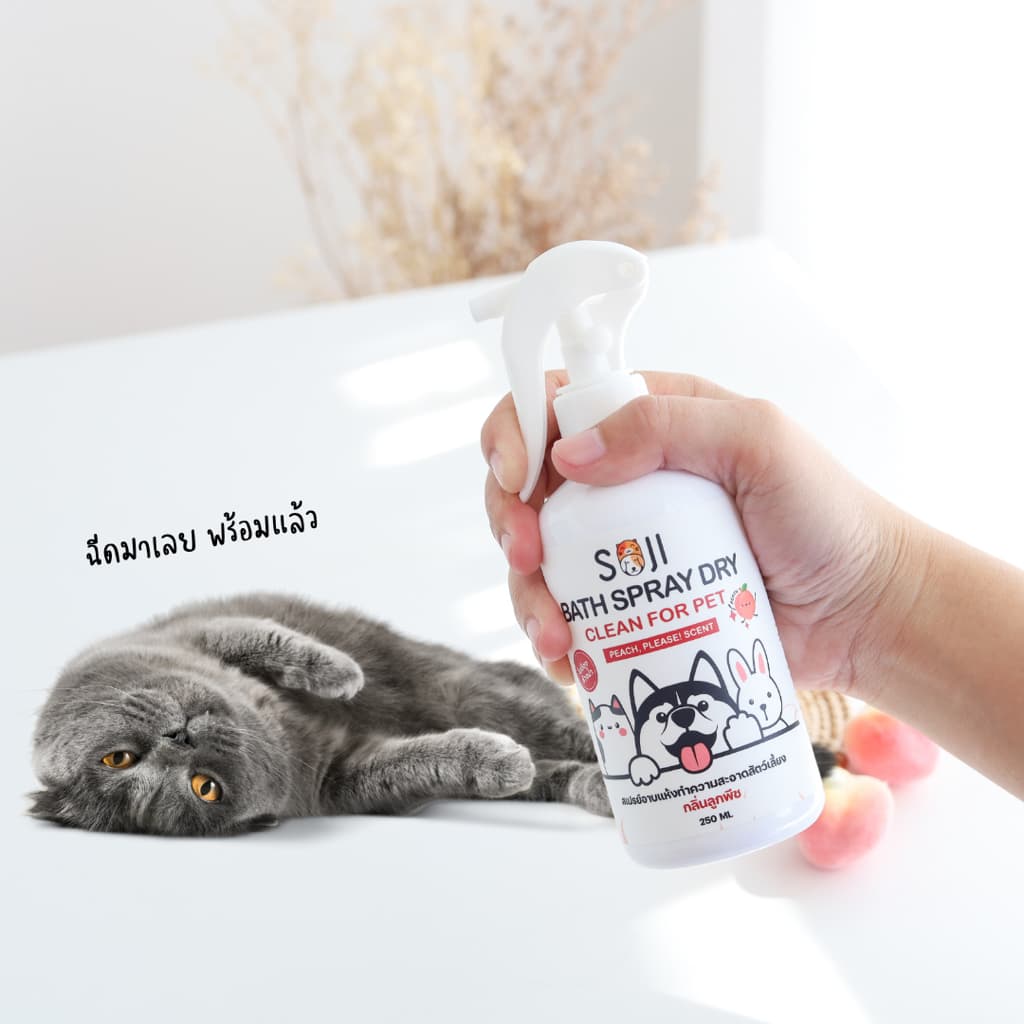 SOJI​ สเปรย์อาบน้ำแห้ง สุนัข แมว กระต่าย ดับกลิ่นสาบ แทนน้ำหอม ไม่มีแอลกอฮอล์ ขนาด​250​ml​ มี3​กลิ่น รูปที่ 4