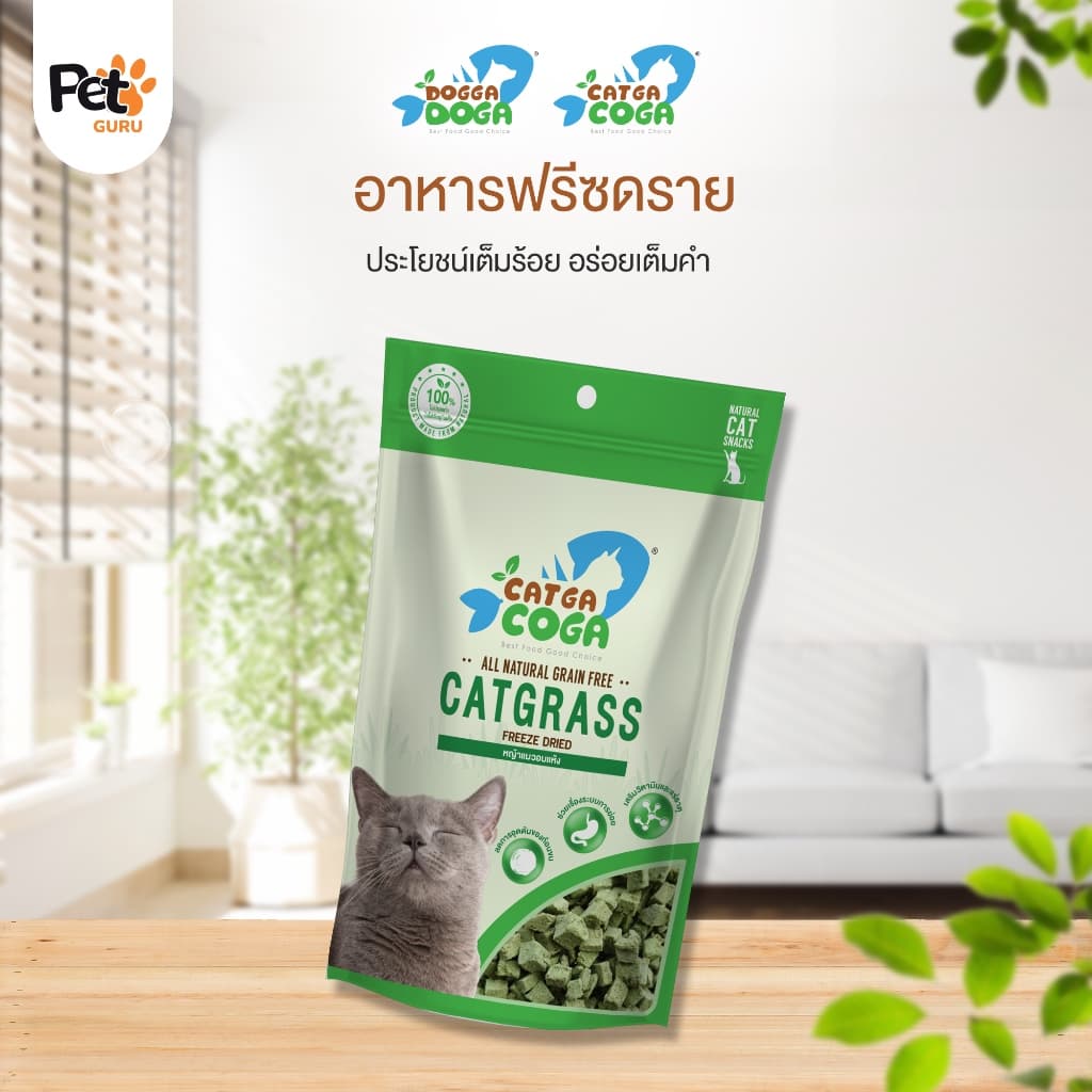 Cat Grass ต้นอ่อนข้าวสาลีอบแห้ง รูปที่ 3