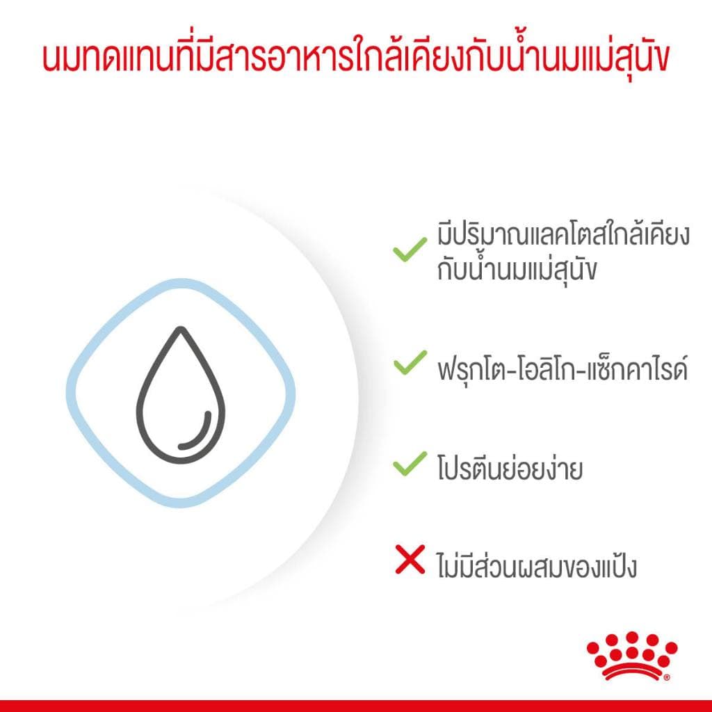 * นมหมา*หมดอายุ 03/27ปีหน้า* Royal canin babydog milk 2kg โรยัล คานิน นมลูกสุนัข baby dog 2 kg. ลูก รูปที่ 6