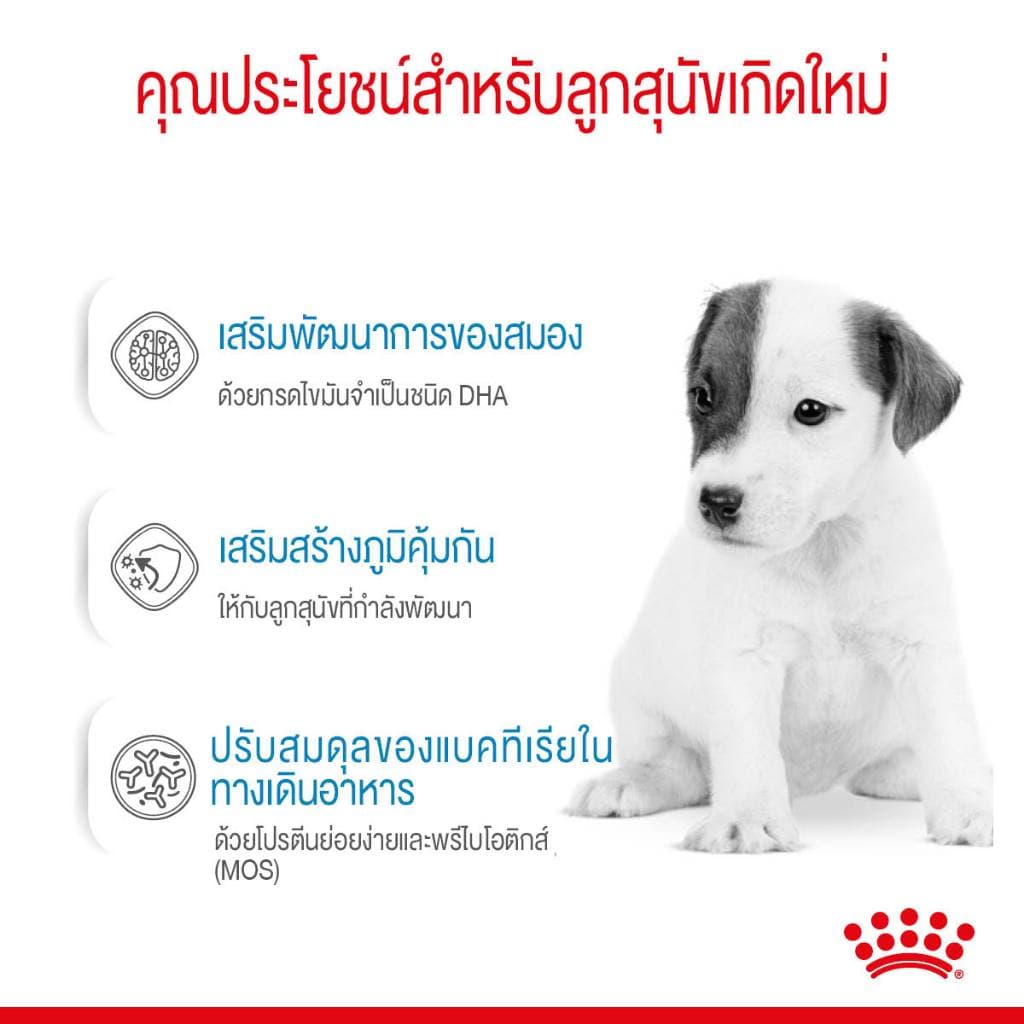 * นมหมา*หมดอายุ 03/27ปีหน้า* Royal canin babydog milk 2kg โรยัล คานิน นมลูกสุนัข baby dog 2 kg. ลูก รูปที่ 7
