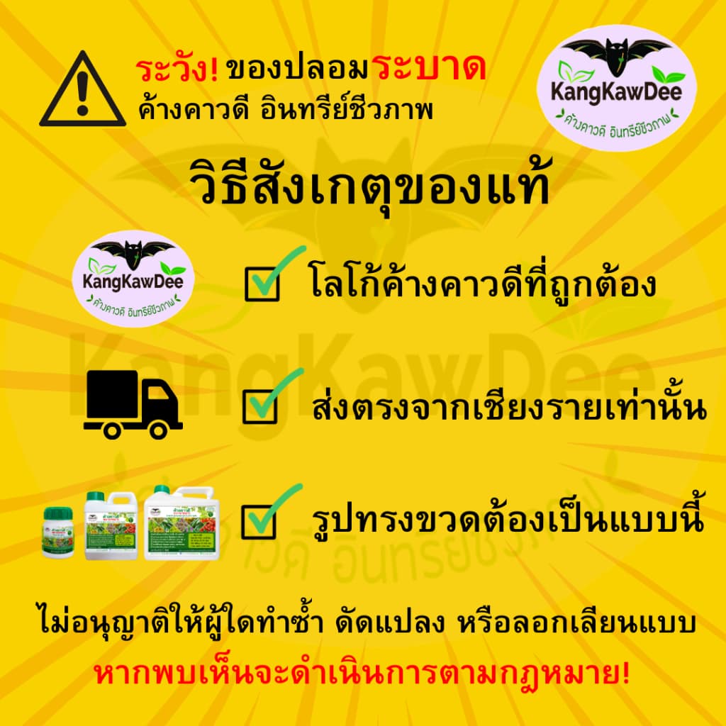 ปุ๋ยทุเรียนช่วงทำใบ เพิ่มใบ ค้างคาวดีสูตร1 ฟื้นต้น เร่งแตกยอด สร้างใบใหม่ สะสมอาหาร F1-150ML รูปที่ 2