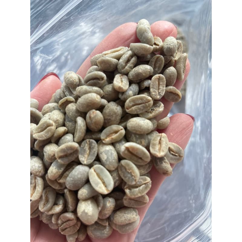เมล็ดกาแฟ Ethiopia sidamo G2 premium รูปที่ 7