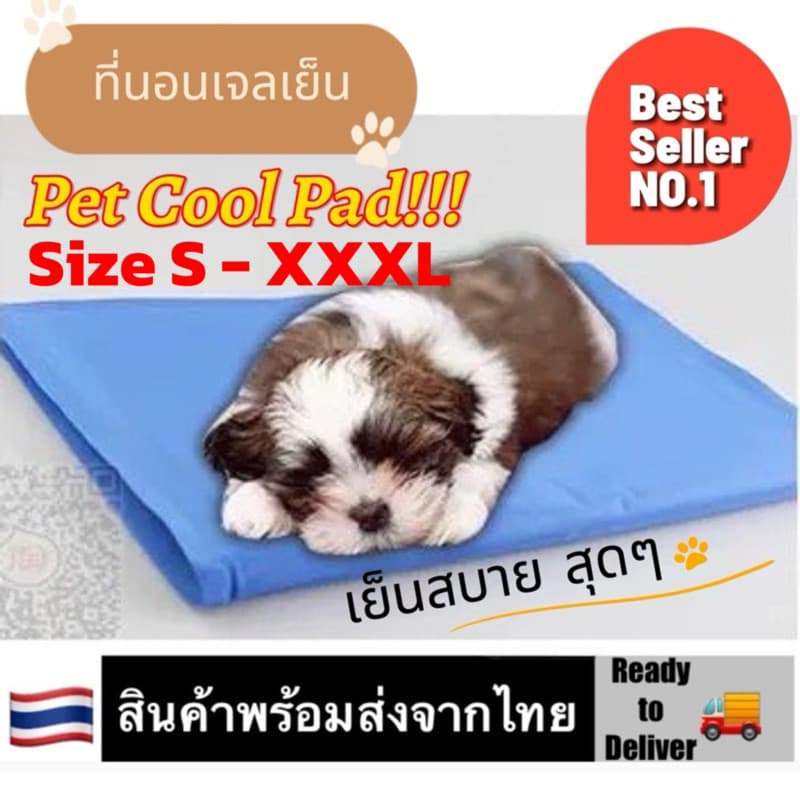 ขายดีที่สุด ที่นอนเจลเย็นสําหรับสัตว์เลี้ยง Dog Cat Cooling Mat Pad รูปที่ 1