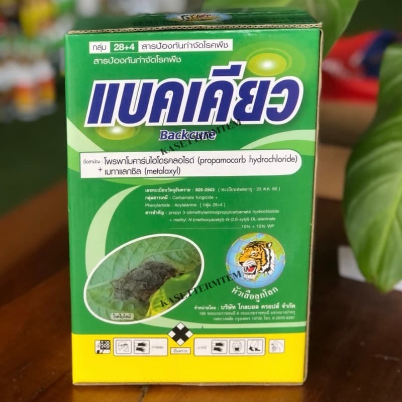แบคเคียว ขนาด 1 กิโลกรัม สารป้องกันกำจัดโรคพืช ใบไหม้ รากเน่า โครเน่า ไฟท็อป รูปที่ 3