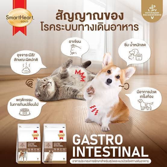 Smartheart gold gastrointestinal ขนาด1.5 และ 3 kg อาหารสำหรับสุนัขท้องเสีย ปรับสมดุลลำไส้ รูปที่ 3