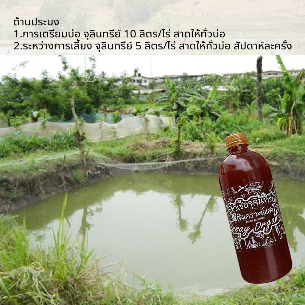 INSAY ORGANIC จุลินทรีย์ ใช้บำบัดน้ำ ดับกลิ่น ปรับสภาพน้ำ ย่อยสลาย สำหรับเลี้ยงปลา กุ้ง รูปที่ 5