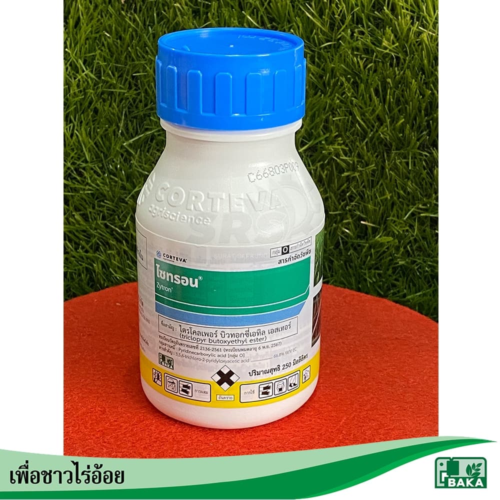 ไซทรอนสารกำจัดวัชพืช 250cc.กำจัดวัชพืชใบกว้างเชือกเถาว์ทุกชนิดใน ไร่อ้อย นาข้าว ตอไม้ รูปที่ 6