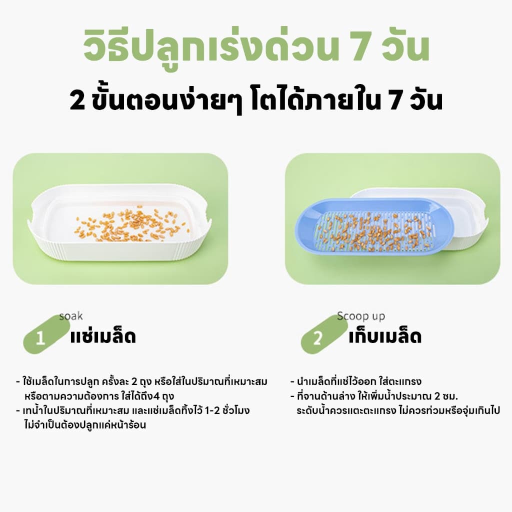 yoyopet : ชุดปลูกหญ้าแมว หญ้าแมว เมล็ดข้าวสาลี ถาดเพาะต้นอ่อน ชุดปลูกต้นสาลี ข้าวบาร์เล่ย์ รูปที่ 9