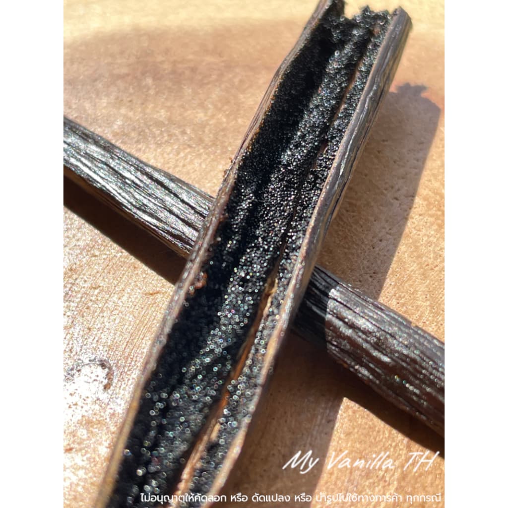 ฝักวานิลลาสายพันธุ์ Planifolia **เกรดA 18-22cm** My Vanilla TH รูปที่ 4