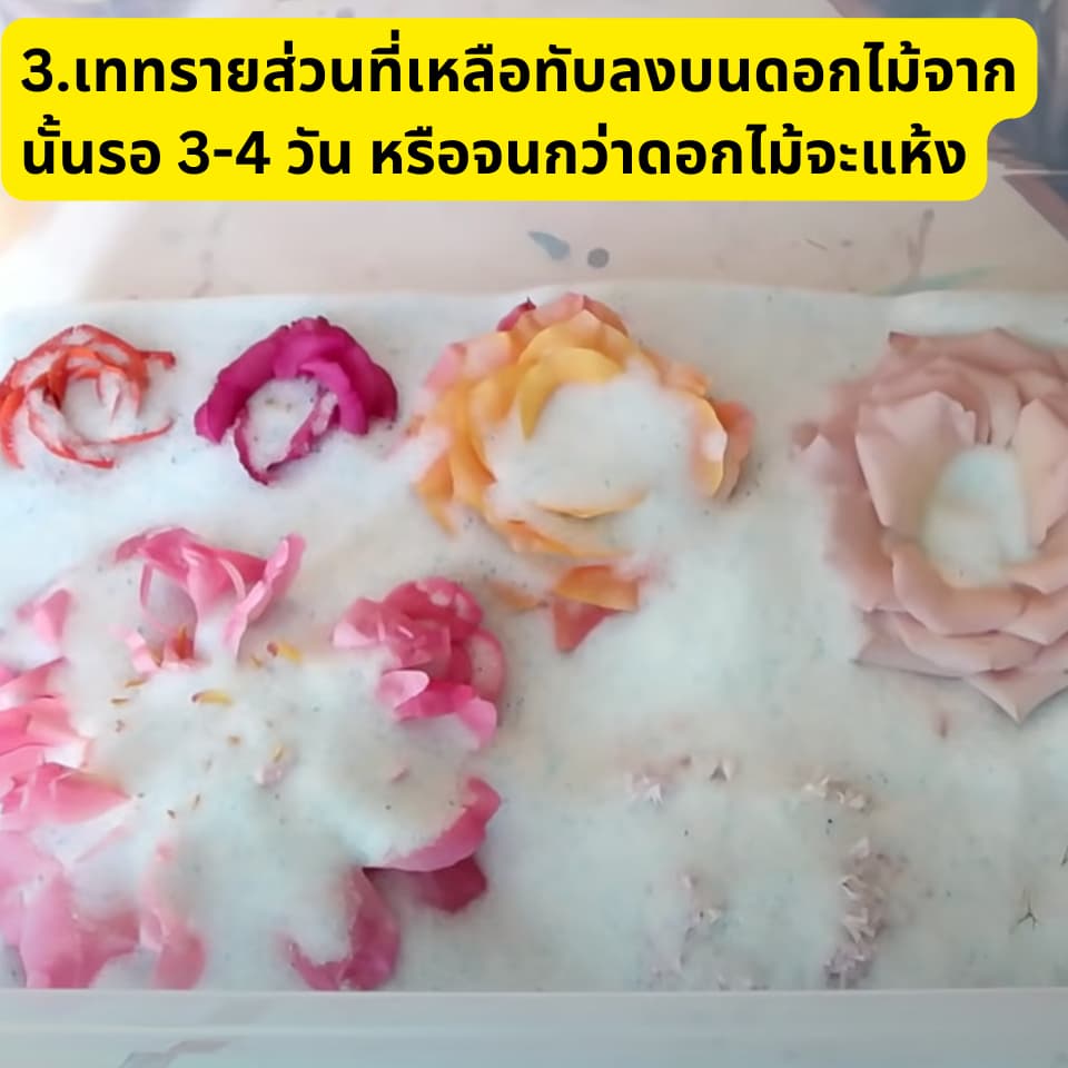 ถูกที่สุดทรายซิลิก้า ซิลิก้าทราย สำหรับทำดอกไม้แห้ง 1 กิโลกรัม อบดอกไม้ มาลัยบ่าวสาว ซิลิก้าทรายอบดอกไม้แห้ง รูปที่ 6