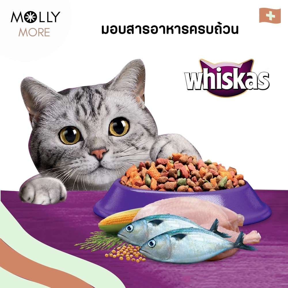 MOLLY WHISKAS อาหารแมว ชนิดเปียก แบบซอง อาหารเปียกแมว วิสกัส เพาช์ รูปที่ 3