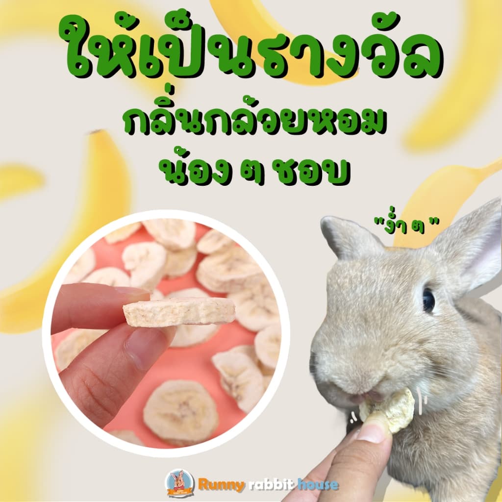 บ้านน้องรันนี่ กล้วยฟรีซดราย หอมๆ หวานธรรมชาติ ขนมสำหรับสัตว์ฟันแทะ รูปที่ 4