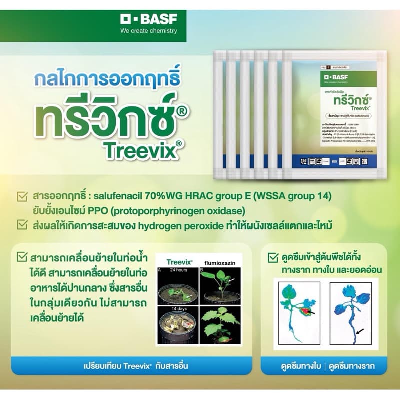 ทรีวิกซ์ ยกกล่อง สารคุมฆ่าวัชพืชคุณภาพสูง byBasf กำจัดวัชพืชใบกว้างยกกล่อง รูปที่ 2