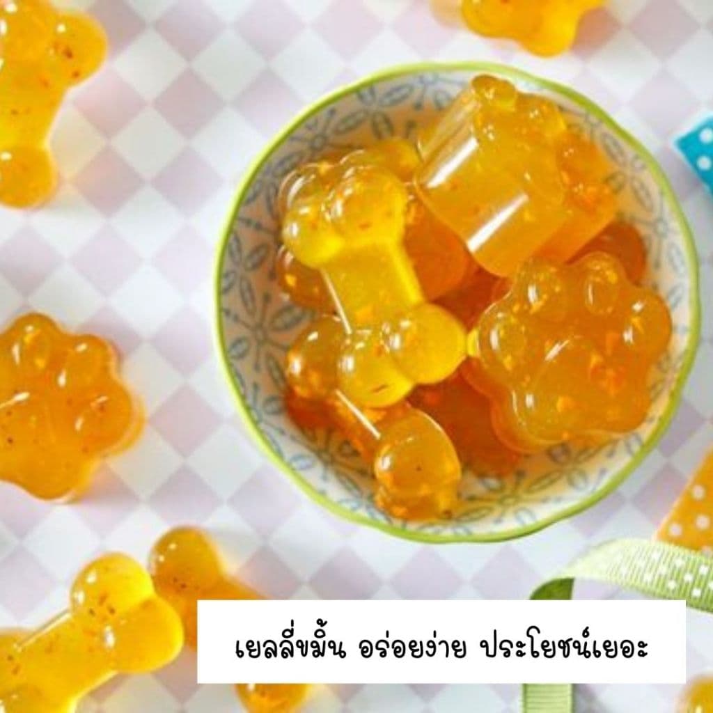 เจลาติน 100% Grass Fed Beef Gelatin Powder สำหรับทำเยลลี่สัตว์เลี้ยง รูปที่ 6