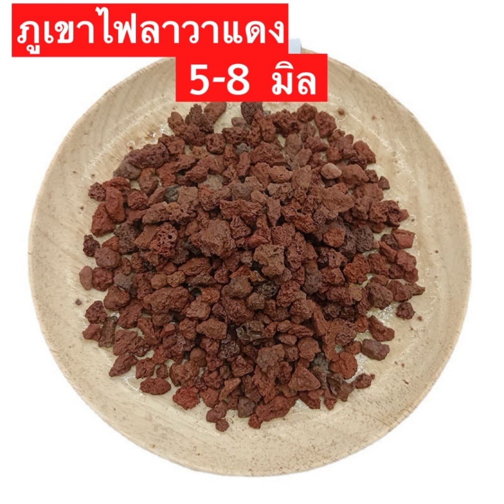 หินภูเขาไฟลาวา หินลาวาแดง หินลาวาแดง | ผสมดินปลูก โรยหน้ากระถาง ใส่บ่อปลา รูปที่ 2