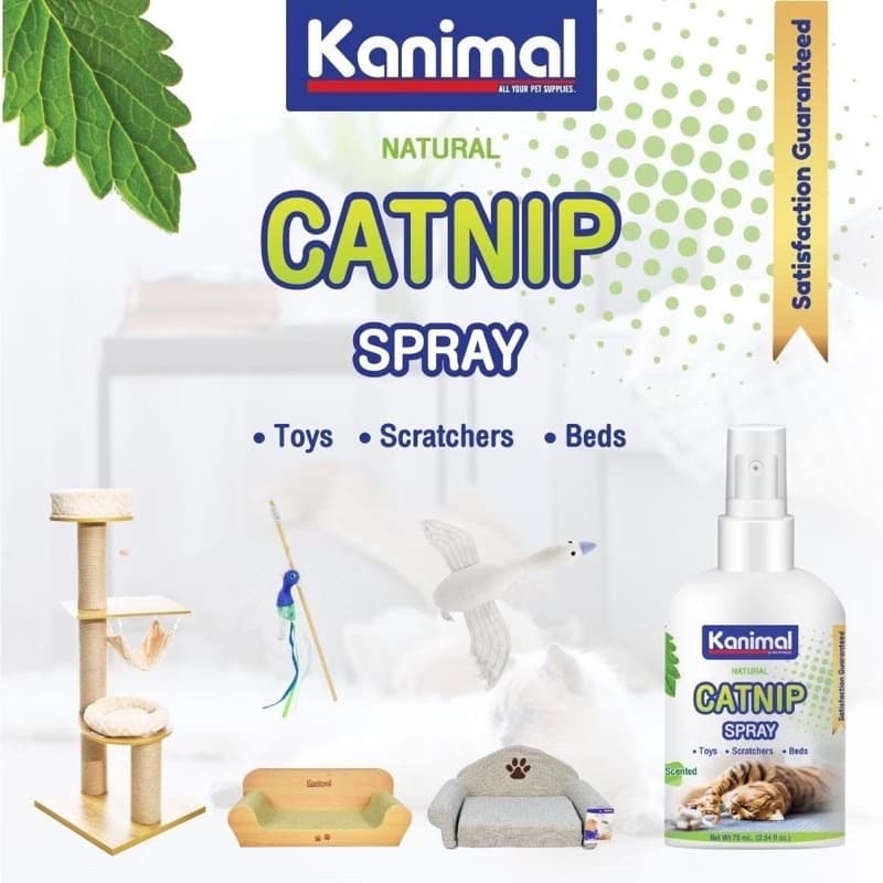 Kanimal Catnip Spray & Matatabi สเปรย์แคทนิป มาทาทาบิ กัญชาแมว ให้แมวผ่อนคลาย ลดความเครียด มี 2 ขนาด รูปที่ 5