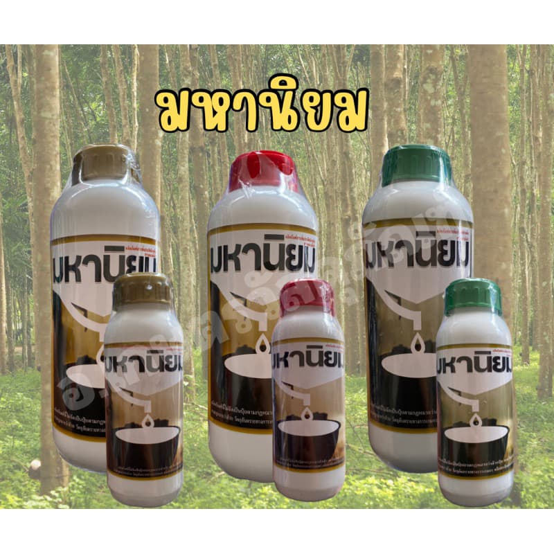 ทายาหน้ายาง มหานิยม ยาเร่งน้ำยางพารา แถมแปรงฟรี รูปที่ 1