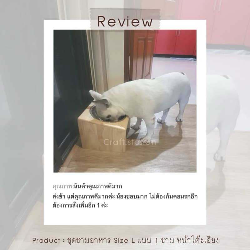 ถาดอาหาร สำหรับสุนัขและแมว 1 หลุม โต๊ะพร้อมชามอาหารสุนัขยกสูง รูปที่ 2